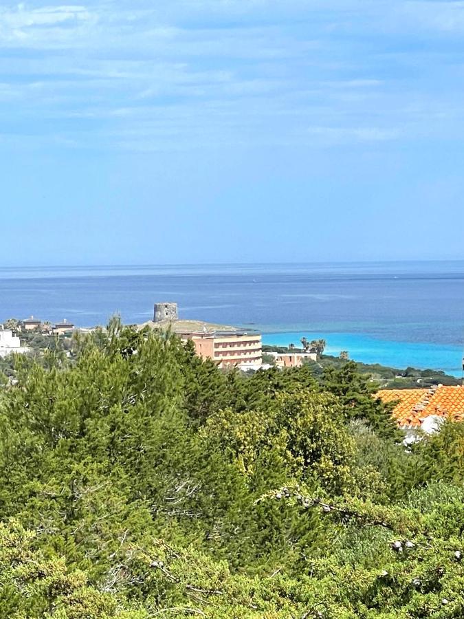 Casa Vacanze Stintino Vista Mare Exteriér fotografie